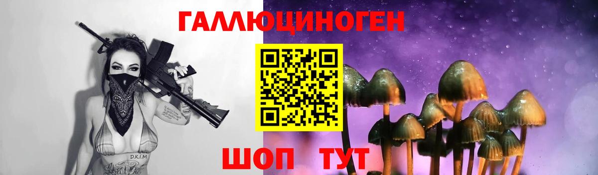Галлюциногенные грибы Cubensis  Псилоцибиновые грибы мицелий  Скопин  Вход с VPN 
